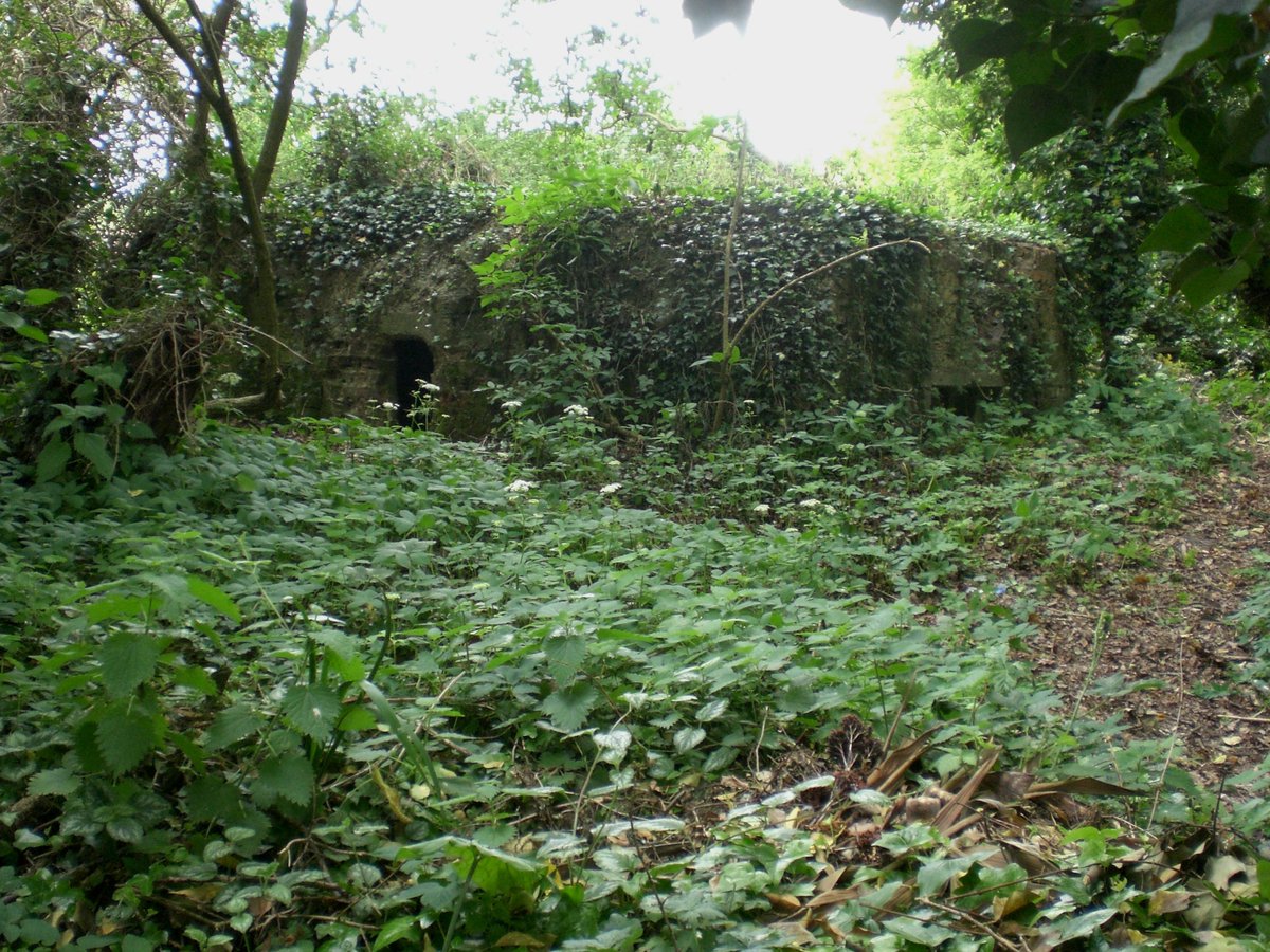 PillboxSG's tweet photo. What A Difference A Few Months Make #BeforeandAfter #WW2Pillbox #ConflictArchaeology #HartCountrySide #hartleyWintney https://t.co/NNlEUAbK33