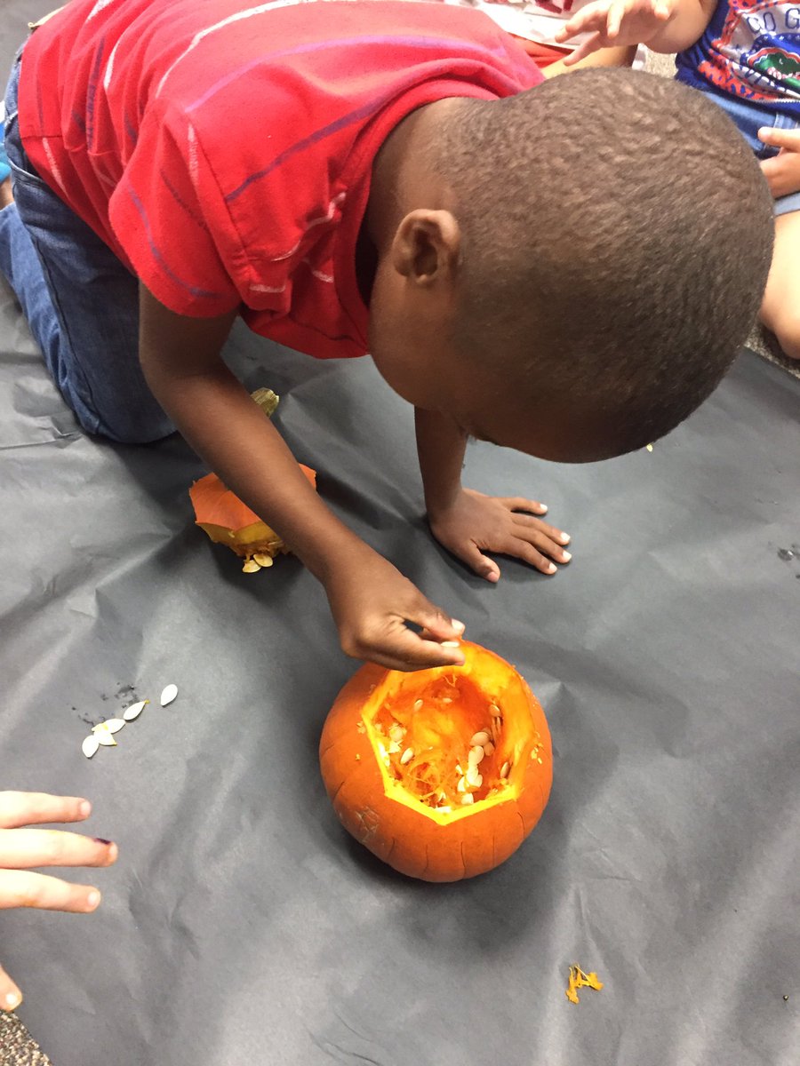 Ms_Davis_Class's tweet photo. These little #pumpkins did a great job during our investigation today! 🎃#PISDbest #firstgrade https://t.co/UYOJ17v5tx