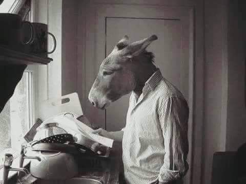 الحمار حيوان كريم في طبعه!!!
فهو يمنح صفاته لبعض من البشر 
                      دون مقابل.