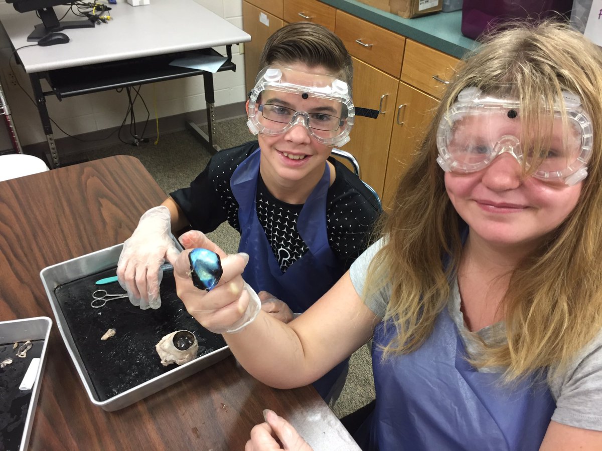 NMSpups's tweet photo. It was cow eye dissection day in Mrs. Spears' class! #sensational6thgraders #learningbydoing https://t.co/36OpkzHvPx