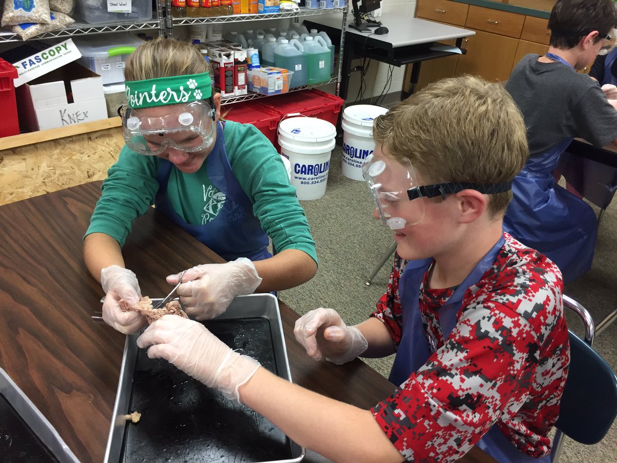 NMSpups's tweet photo. It was cow eye dissection day in Mrs. Spears' class! #sensational6thgraders #learningbydoing https://t.co/36OpkzHvPx