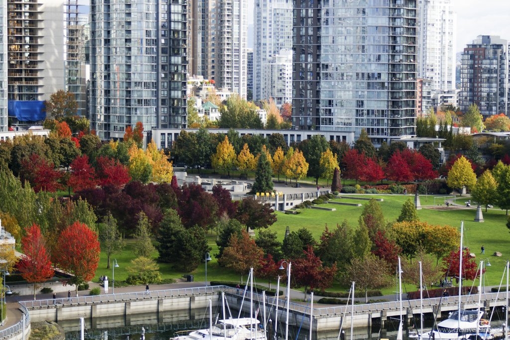 HelloBC's tweet photo. Our #exploreBC photo of the day by @ztravica: Fall colours around Vancouver's Granville Island and False Creek https://t.co/jLwjQUGL4Y