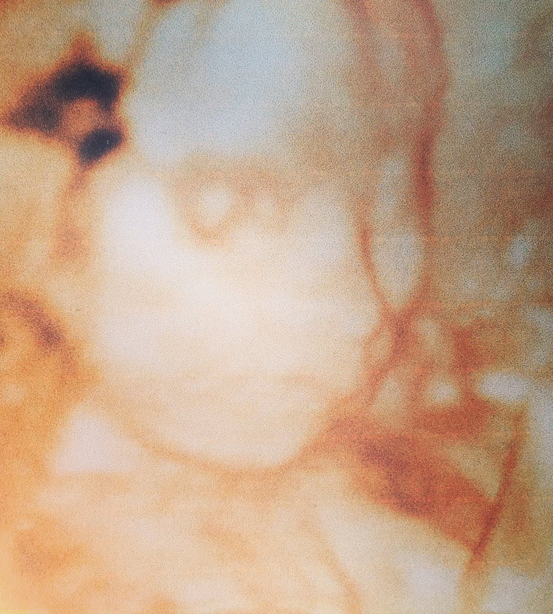 Pueden pasar muchas cosas en el universo, pero nuestro Amor por vos hijo nunca pasará! 
Te Amamos karateca! ❤️