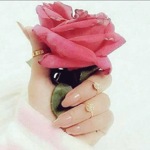 #زعيم_شمر_28K_محب 
مليووون مبرووك تستاهل الخير وشاهدين لك بالخير 👏👏👏👏👏🌹🌹🌹🌹🌹👏👏👏💐💐💐💐💐✨🌟✨🌟✨🌹🌹🌹👏👏👏👏