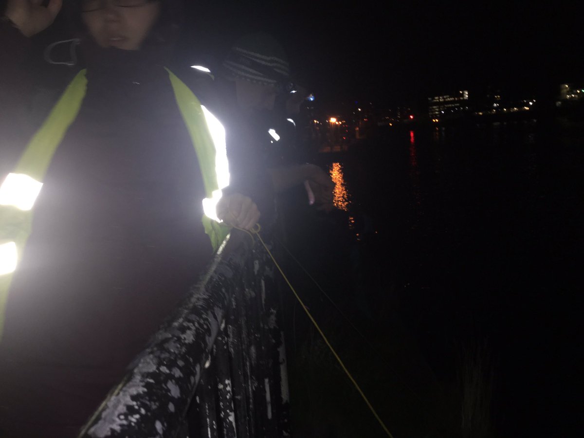 Some successful night crabbing for <a href="/thembauk/">MBA - Marine Biological Association</a> #mbabioblitz and I caught the biggest crab 🦀🏅