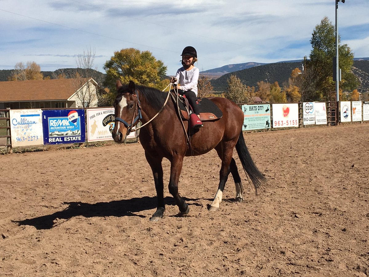 SoprisTherapy's tweet photo. "All I want to do is ride" #horsesaremytherapy #kidsandhorses #smilesfordays #carbondale #colorado #girls #horses @sydlishous https://t.co/gbSsFBEM3s