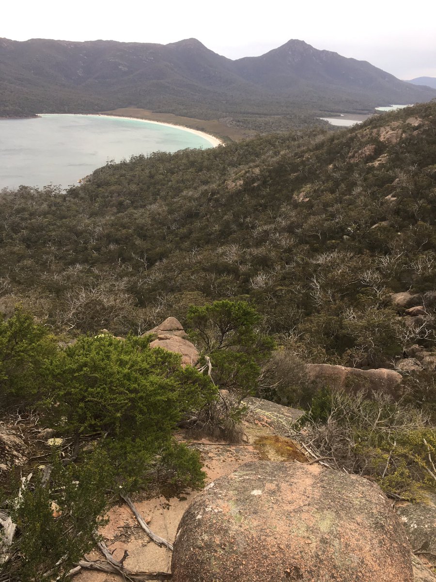 WelshyKnows's tweet photo. Waiting for runners #FreycinetChallenge @tasmania https://t.co/UjHa71r1Cm