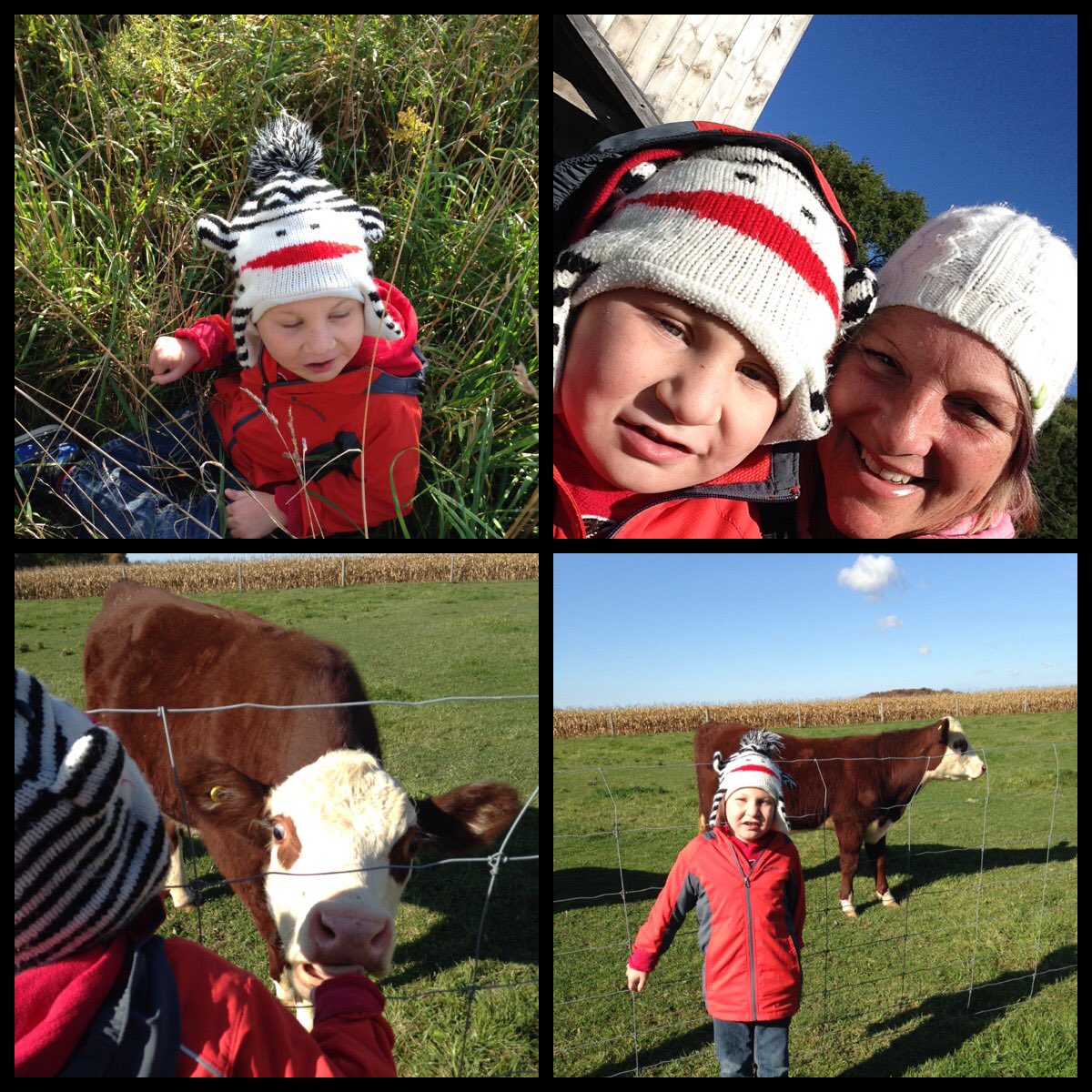 LittleFallsPS's tweet photo. Lots of fun learning in the sunshine at #forestschool today! #friendlycows #sleepwelltonight @michellecoles8 @yourschools @KLCarlyle ๐ฒ https://t.co/AyeemSETP6