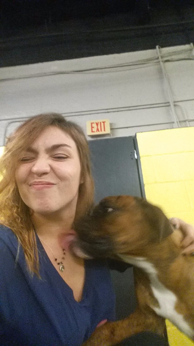 4PawsRoselle's tweet photo. #Max was waiting patiently for his Dad to come pick him, until I walked in. #Boxer #PAWsomePups #4pawsinnroselle #letmeloveyourdog https://t.co/gp1CUPsNUO