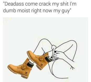 b33z0's tweet photo. 😩😂⚰🎯😂RT @FunnyPicsDepot: yall aint shit https://t.co/sZEkIJbYvk