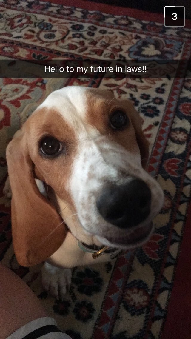 sallydachshund's tweet photo. #mybae #stoges https://t.co/xLSvekTwc1