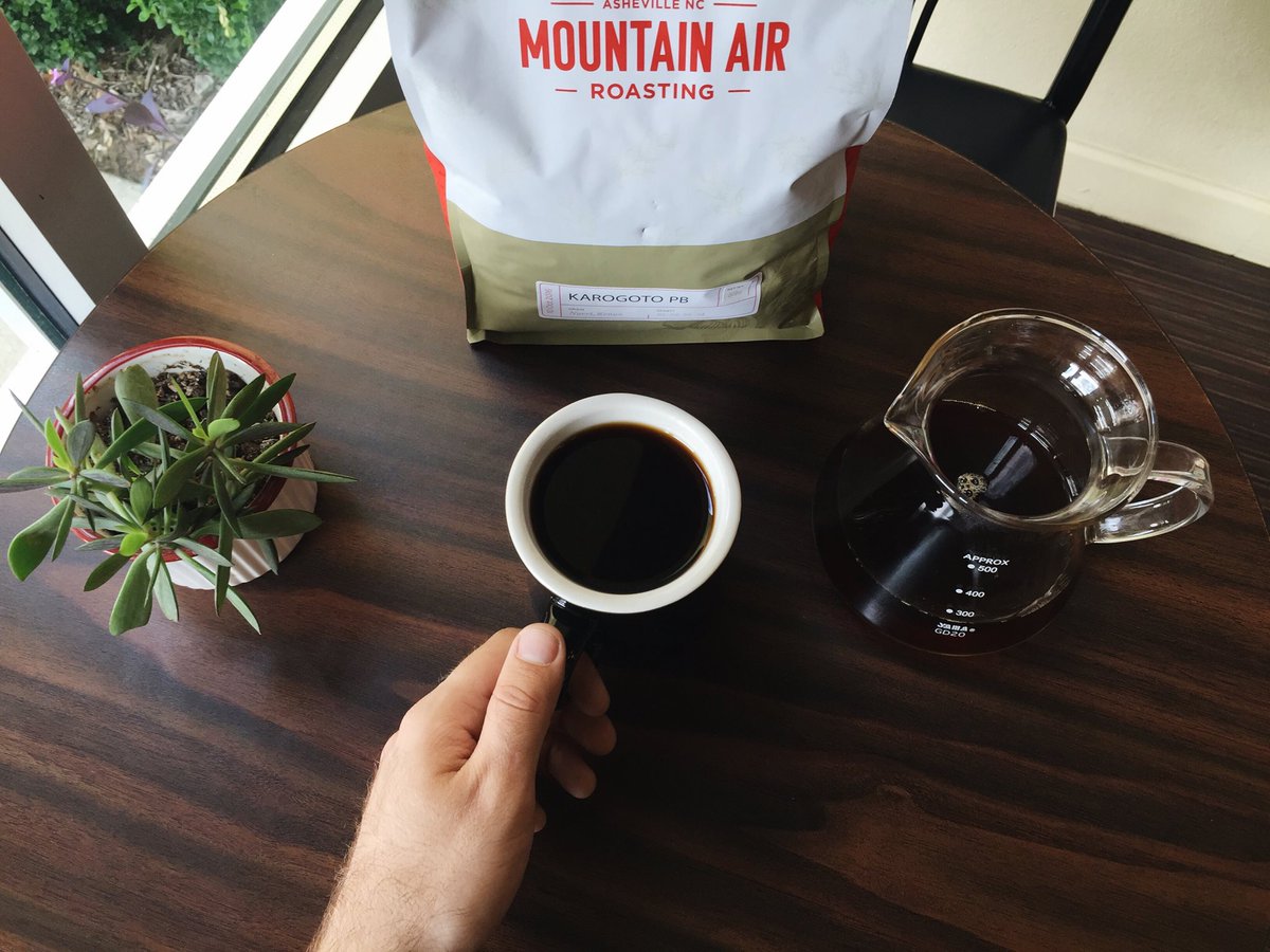 shiftcoffee's tweet image. New from Mountain Air on Kalita Wave is the Karogoto PB Kenyan! Spicy cranberry sauce, pear/complex acidity &amp;amp; lemon herbal tea👍 Come try it!