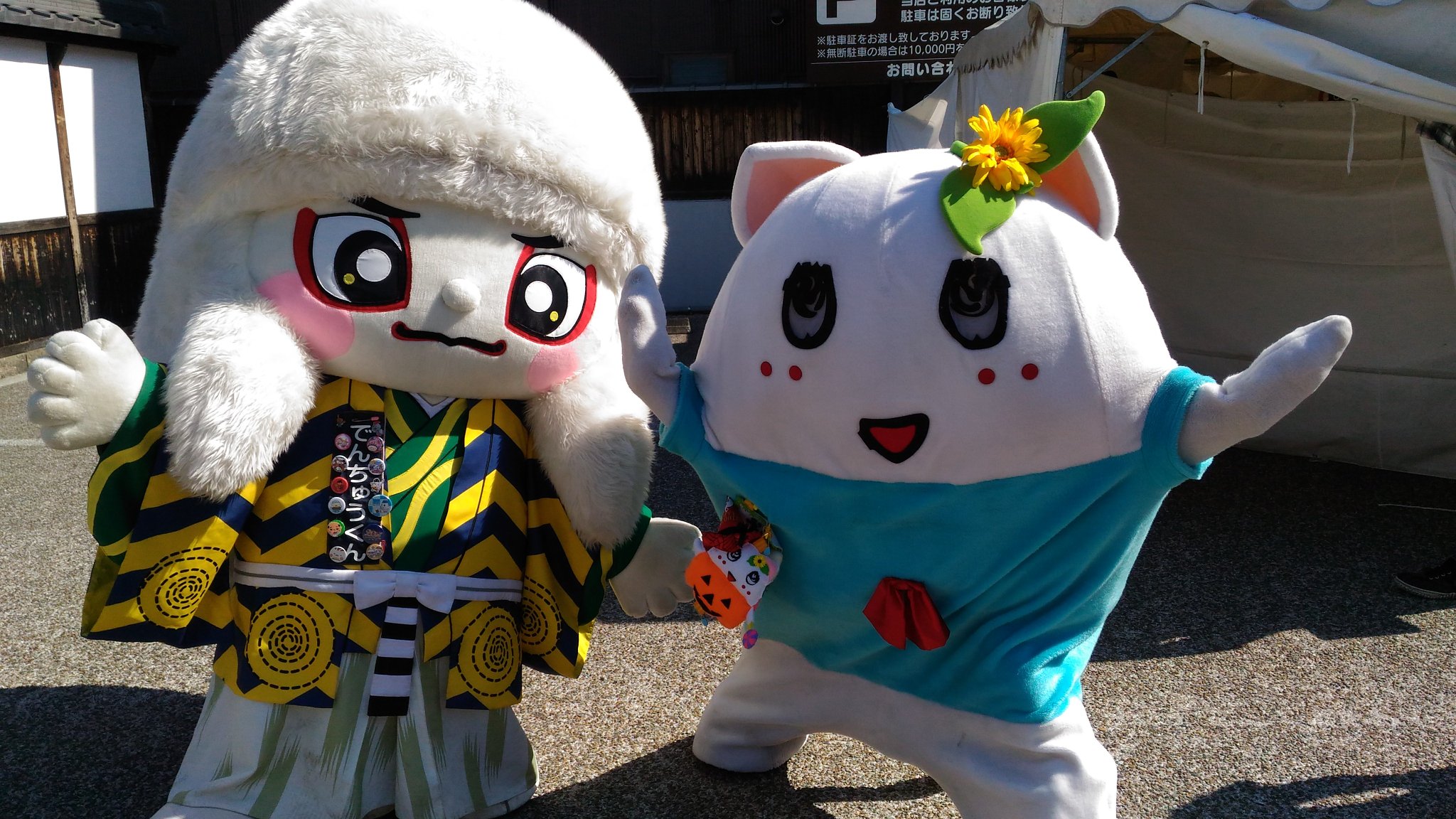 でんちゅうくん 公式 Pa Twitter 色んなお友達とあえて嬉しいな フニャッシーとパチリ T Co Acym2ys9oe Twitter