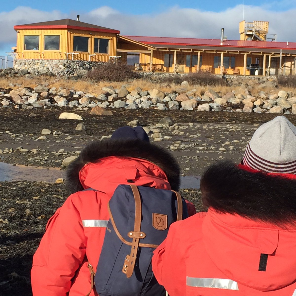 TravelMBMedia's tweet photo. No better way to kick off #GoMedia2016 than walking with polar bears @ChurchillWild! #exploremb #explorecanada https://t.co/h5vz2Qh8Xg