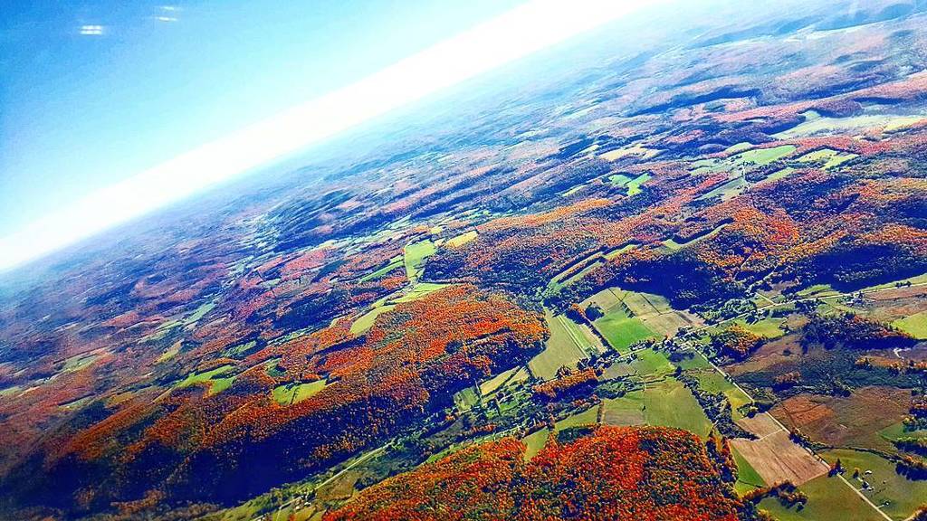 P1L0T's tweet photo. Love that #October color! #leafPeeping #makeLikeAtreeAndLeave https://t.co/ZjFDcti5xI https://t.co/G5iuY2Cr3r