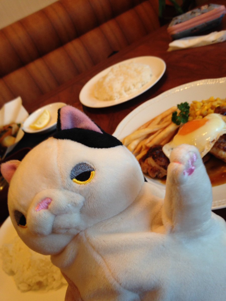 もぐもぐさん。 tweet media