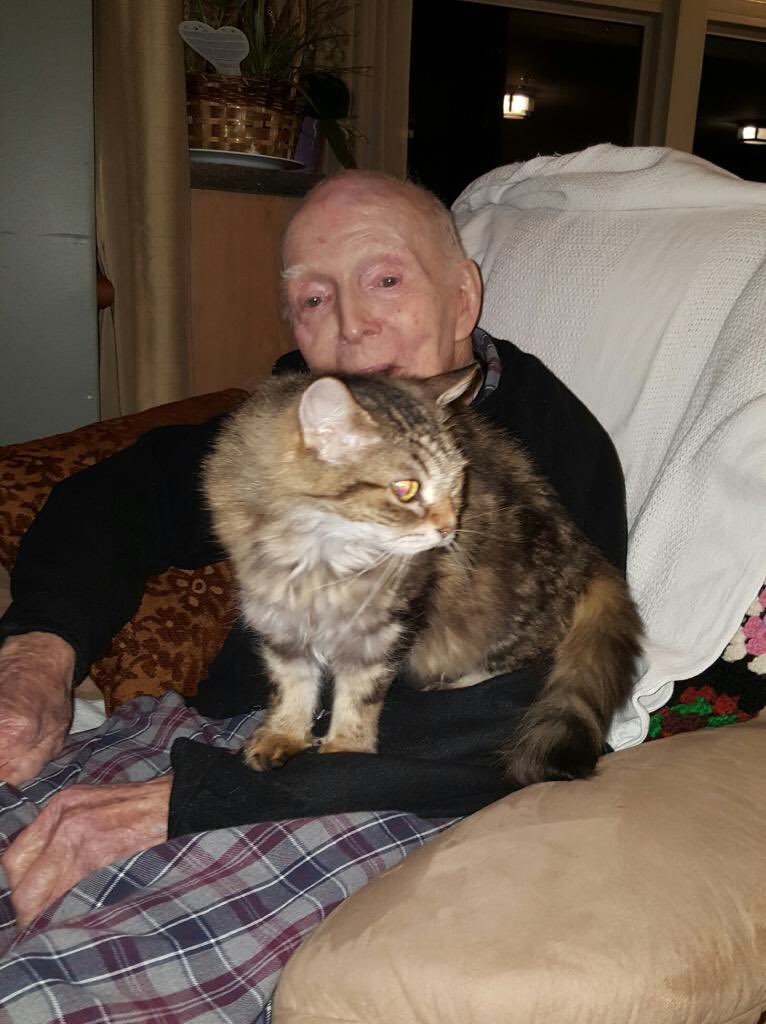 Canadian_Age's tweet photo. Thank you @AnimalAide Lady Beatrice is settling in nicely #petsmart1324 #adoptionweekend #nursinghomefureverhome https://t.co/QpoeT4Btq5