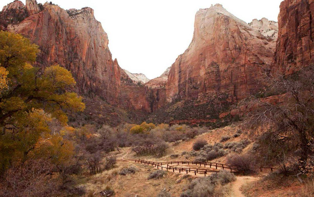 TravelLeisure's tweet image. What to see and do in Zion National Park: tandl.me/2dQLpEh