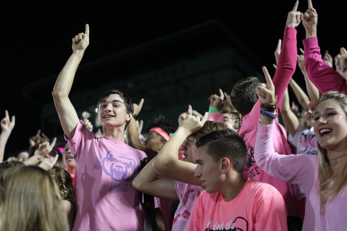 sFn_Alpha's tweet photo. #Esfhs Student Section! Look at our fellow wolves Rocking the #Pink. #BreastCancerAwarenessMonth https://t.co/qWnwTM3QEa