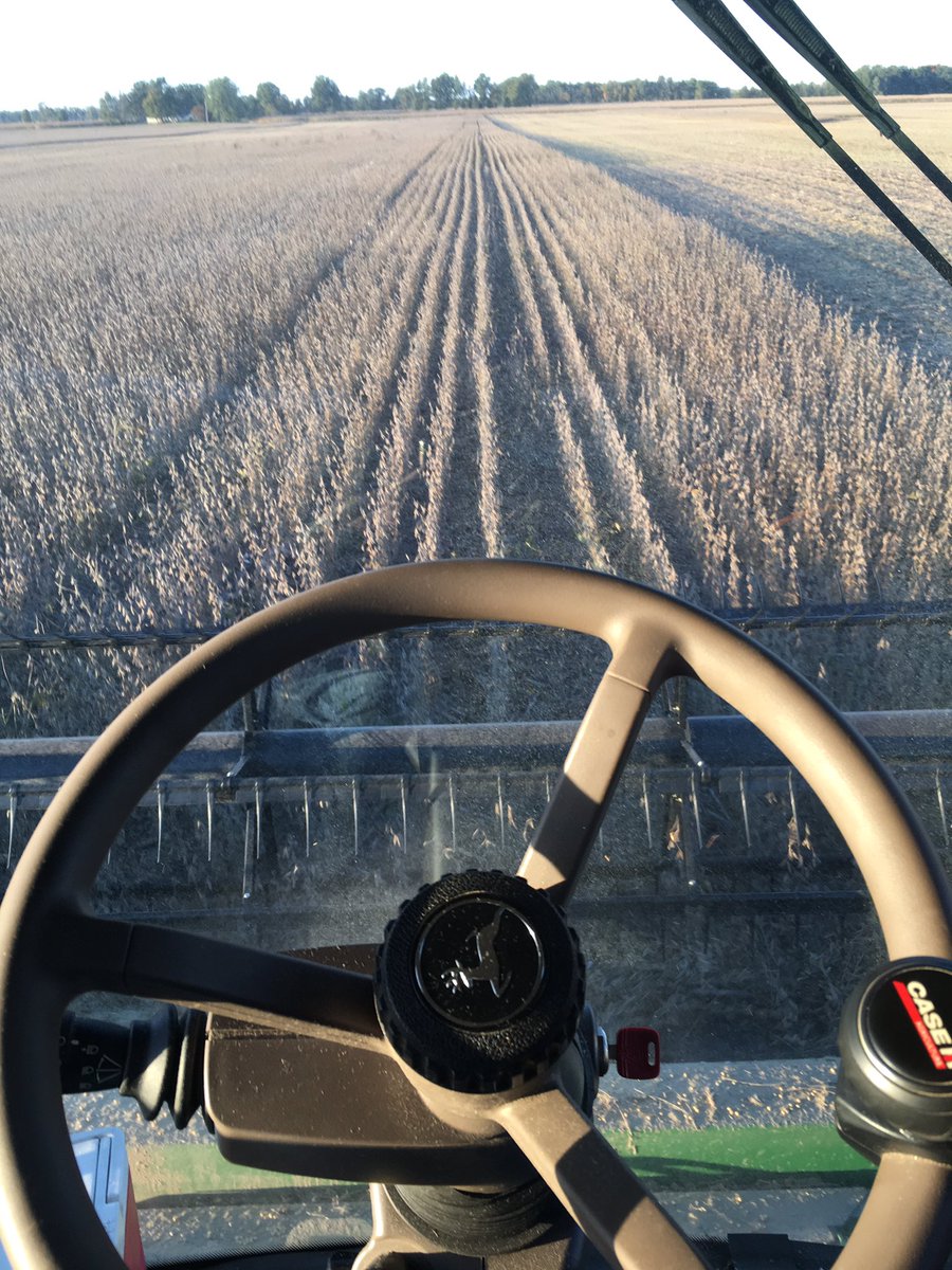 HHgoodman17's tweet photo. From selling them to cutting them! @Channel_OH #harvest16 https://t.co/GD1z5tko8x