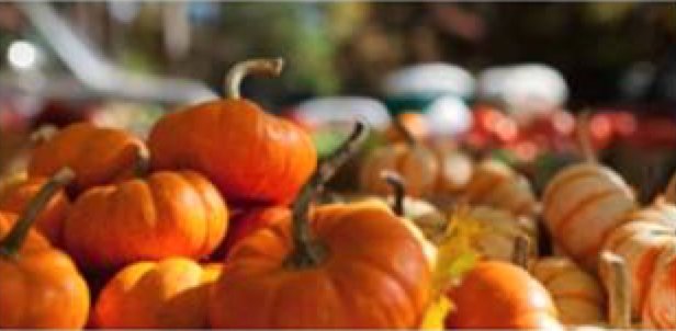 Yogesh_Sontakke's tweet image. Wondering what's new in #OracleICS 16.4.1 Fall release? Read our blog post! bit.ly/ics1641blog @OracleIntegrate #ipaas