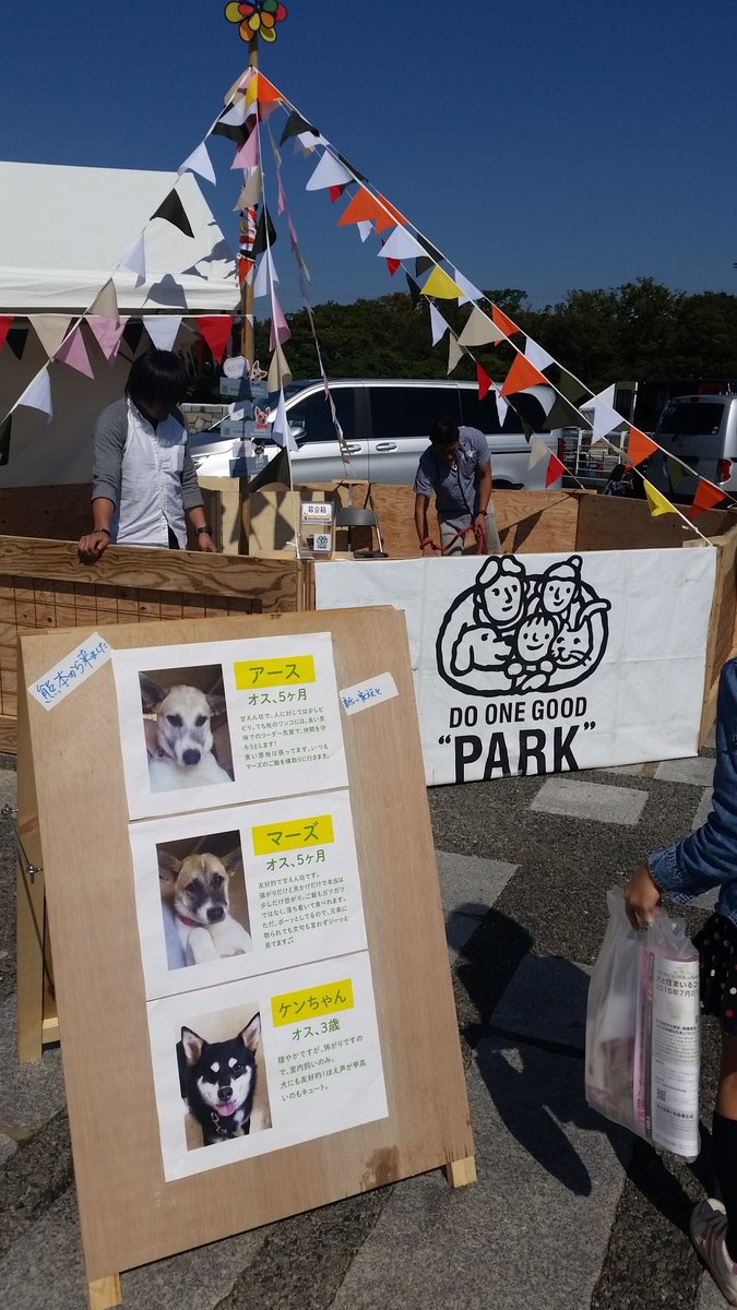 do_one_good's tweet photo. 駒沢公園わんわんカーニバルにて、熊本地震で被災した犬たちのAdoption PARK(譲渡会)を開催中。10時から17時まで。 https://t.co/mbXkQS6obz