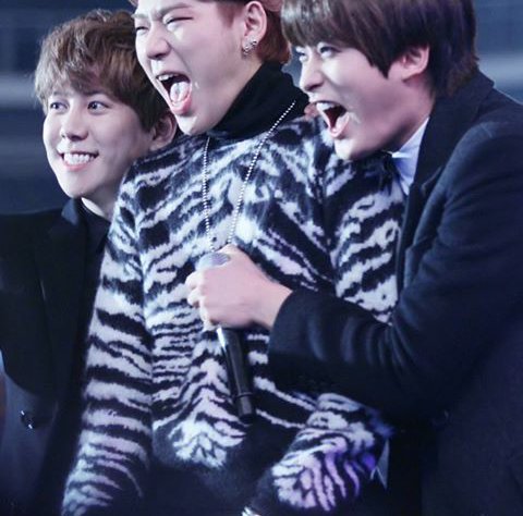 Block B Memes Blockbmemes Twitter