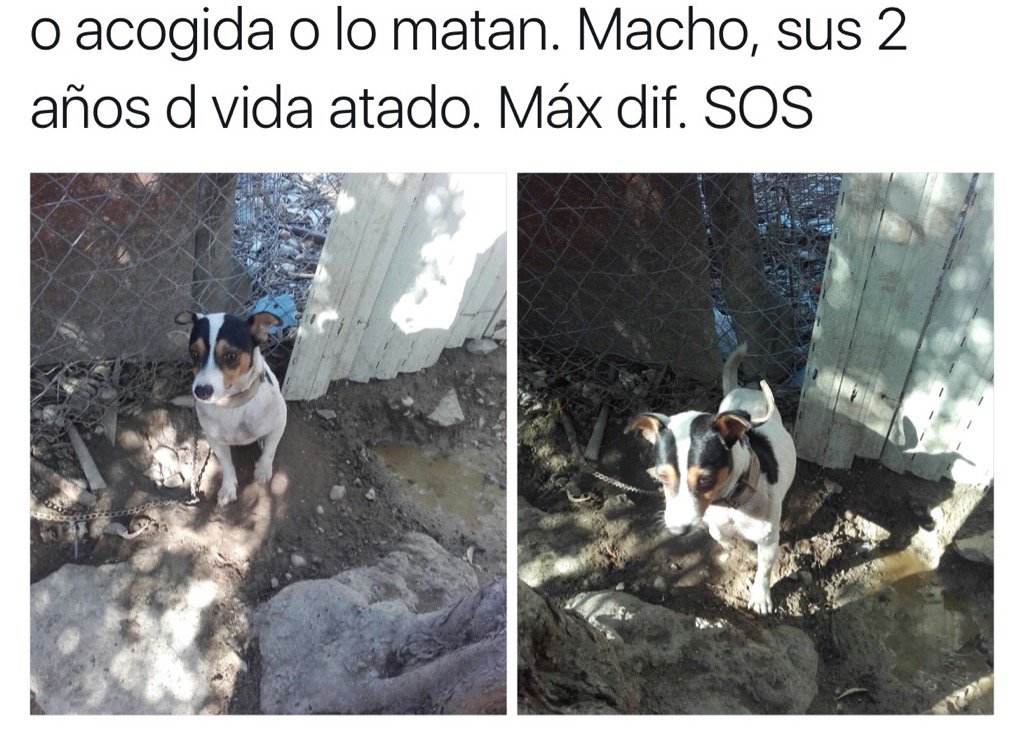 beadifusiones tweet picture