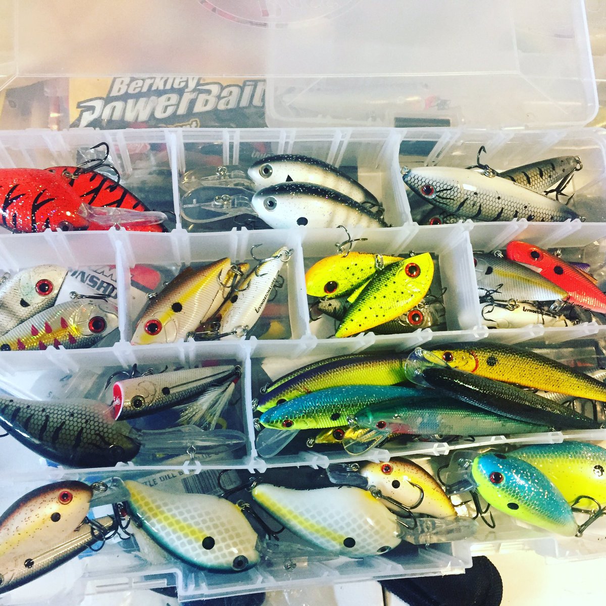 wieseie's tweet photo. What one should i pick? #fishcatchingmachine https://t.co/aVyO7gIwRB