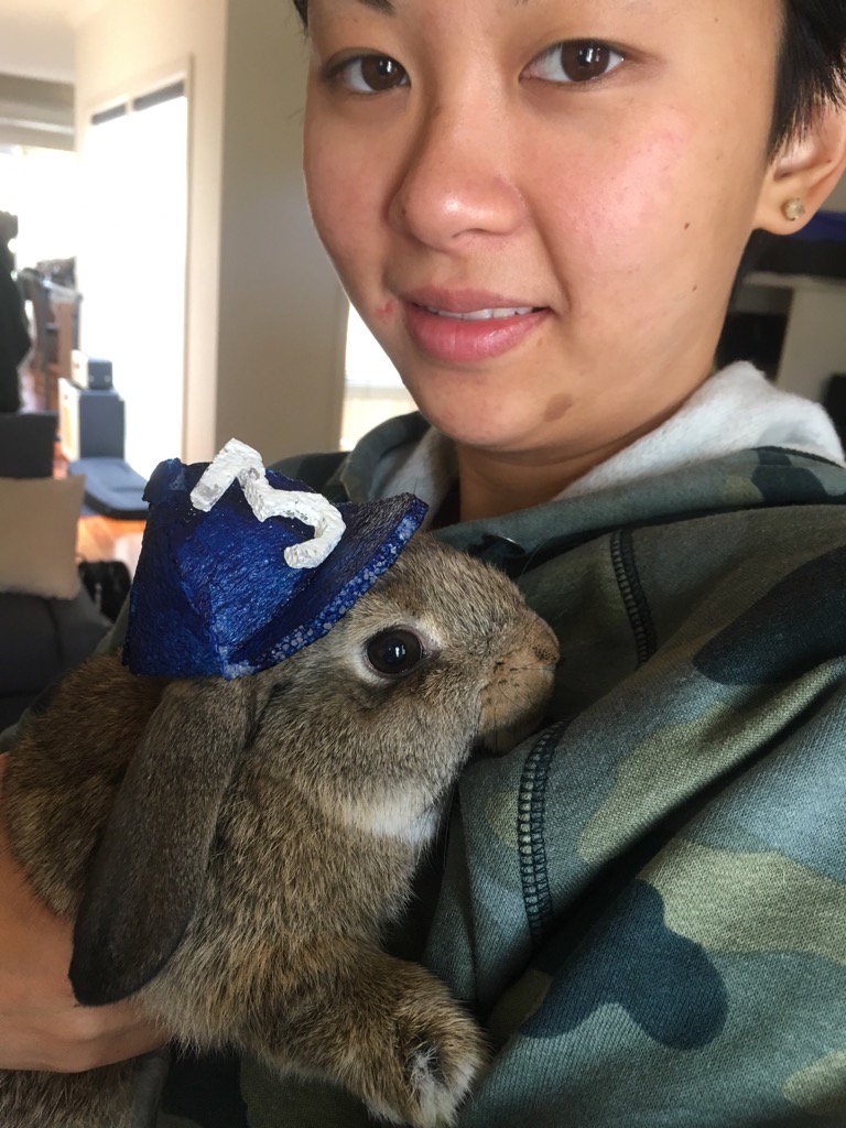 esmond_angeles's tweet photo. Yo @chancetherapper me and the wifey got a bunny & named her after you. We also made her a 3 hat!
#chancetherabbit https://t.co/IqqeKnZZgZ