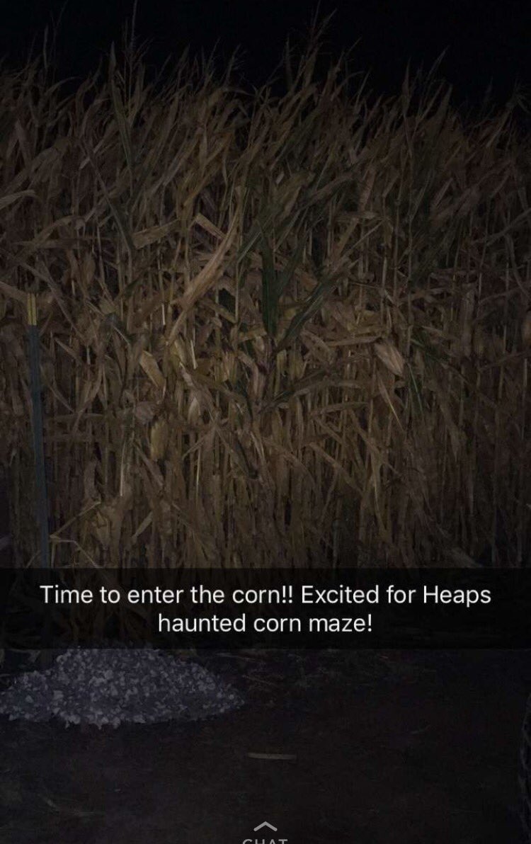Haunted Heap's (@HauntedHeaps) | Twitter