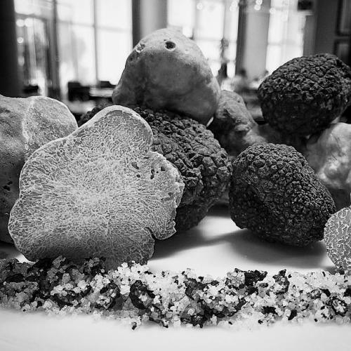 fgomma1's tweet photo. We’re loving #truffles this season at #CUTdubai. Photo from Chef...

We’re loving #truffles this season at #CUT https://t.co/kGfCeZ5Za9 https://t.co/xaPSaGPKOw