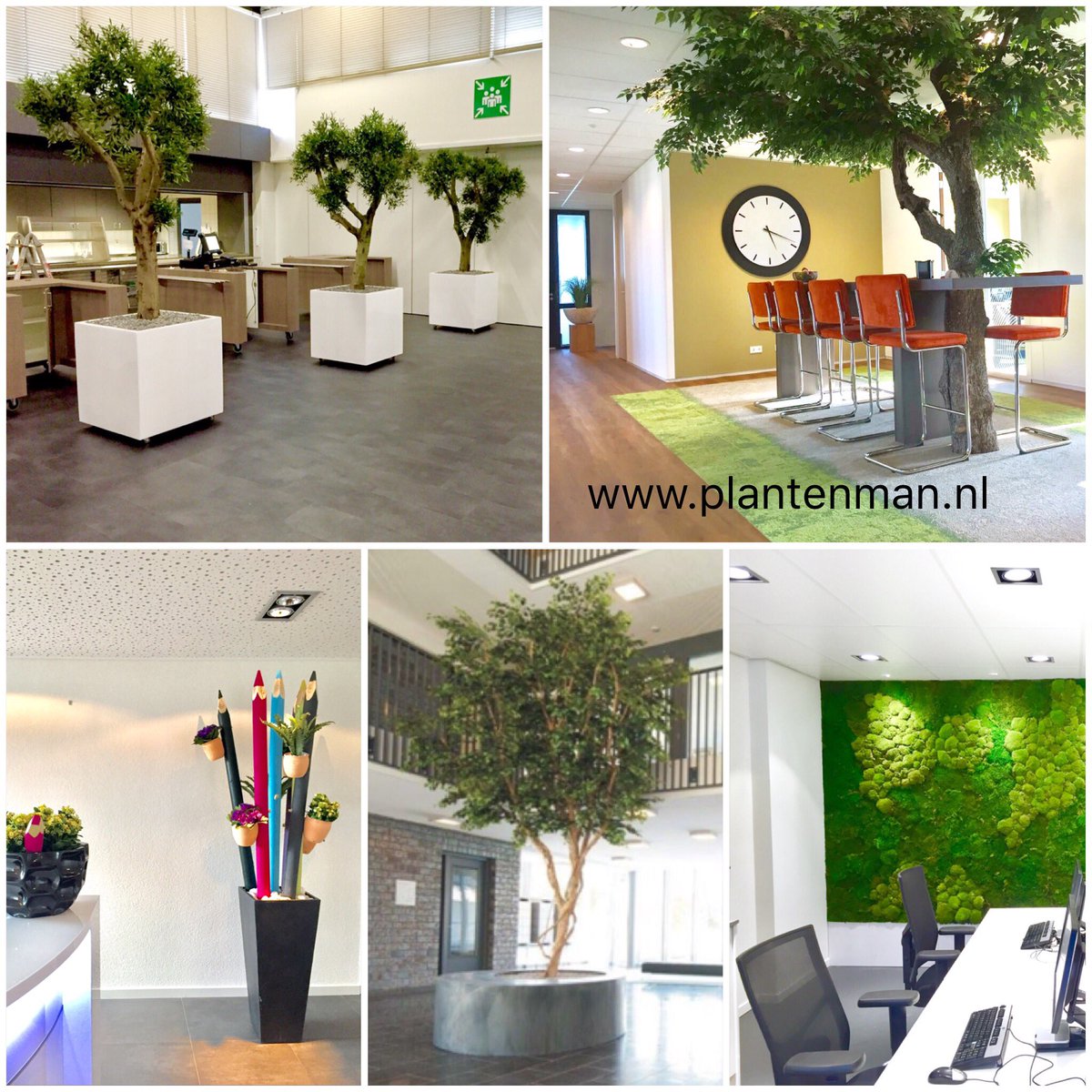 plantenman's tweet image. Groen met een WOW!-factor, dat is onze doelstelling! info@plantenman.nl #kunstbomen #hydrocultuur #maatwerk #moswanden #plantenwanden