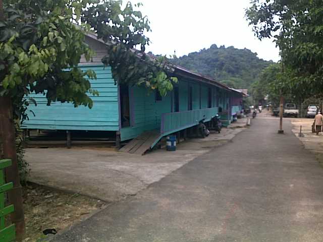 Halaman