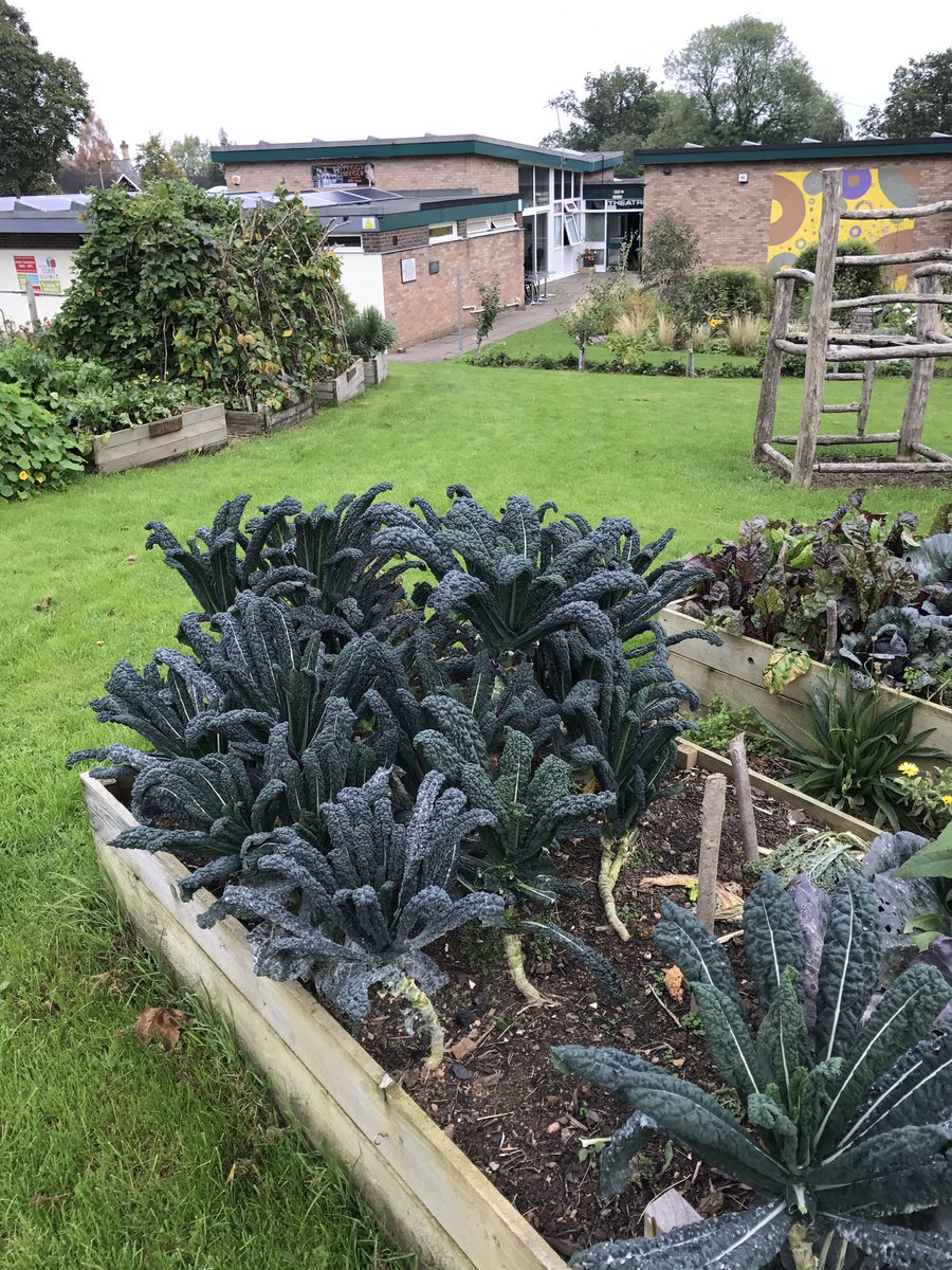 MalvernCubeMKT's tweet photo. Plse RT Food miles =10ft today!! Our own plus other local produce. 10am to about 1pm due to FEAST Theatre Festival setting up for tonight! https://t.co/KnWGXKVbqV