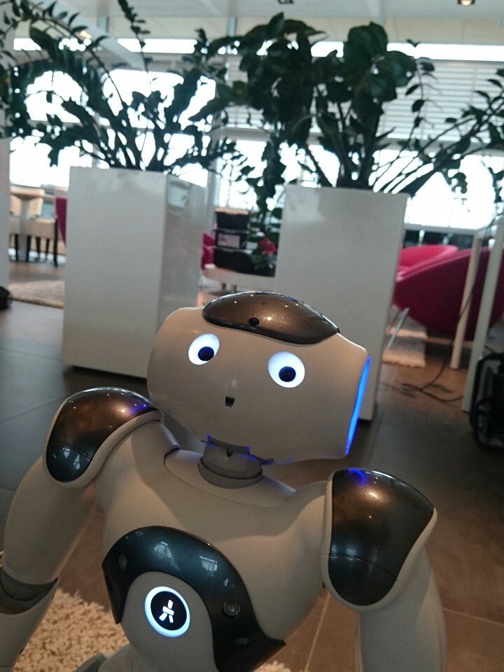 jdriven_nl tweet picture