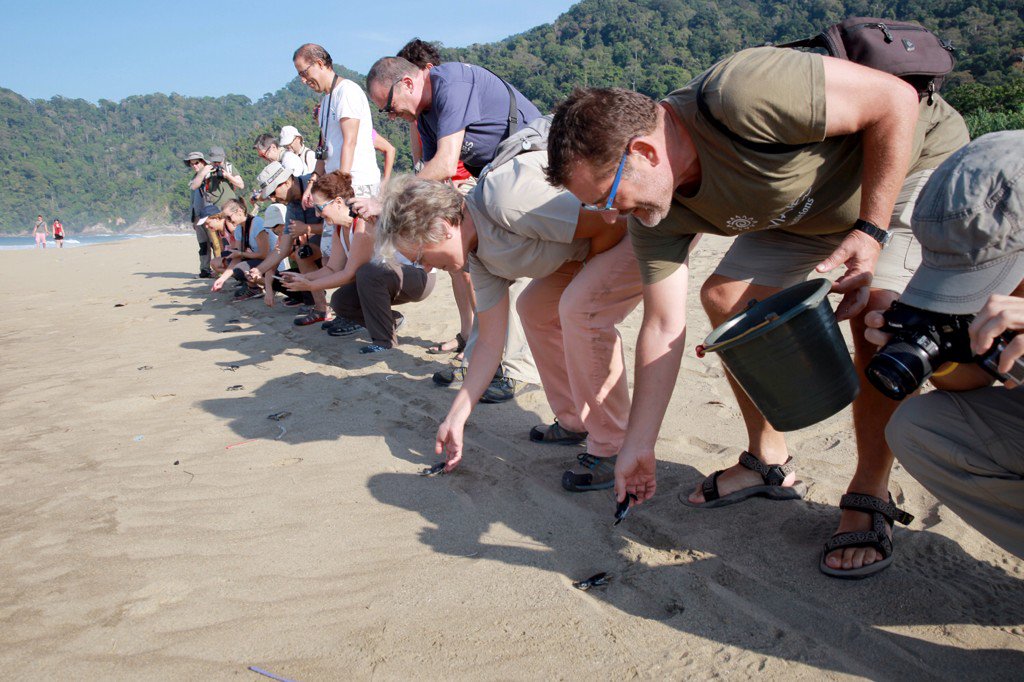 Abdullah Azwar Anas tweet media