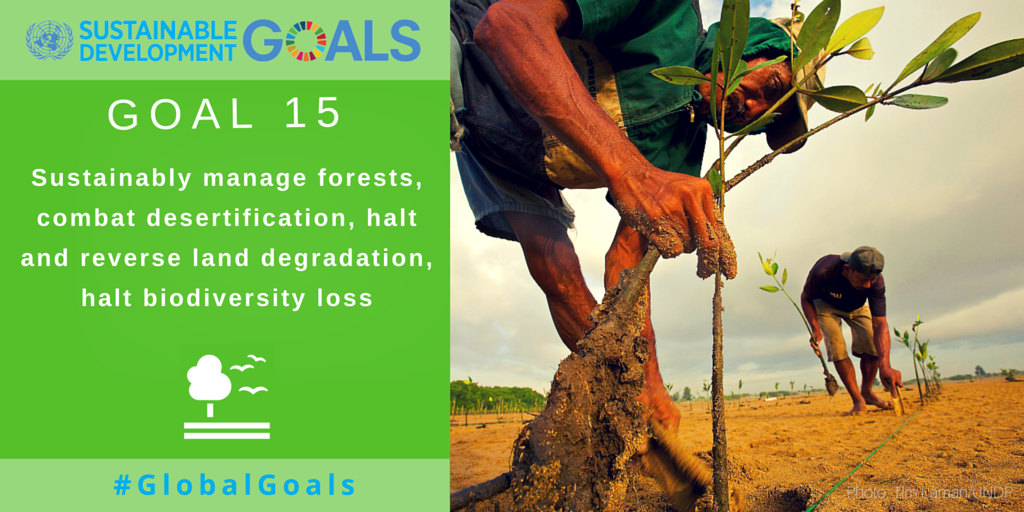 UNEP's tweet photo. Our forests form part of our heritage. What will you do this weekend to connect with them? #GlobalGoals https://t.co/a48bp6fPFr