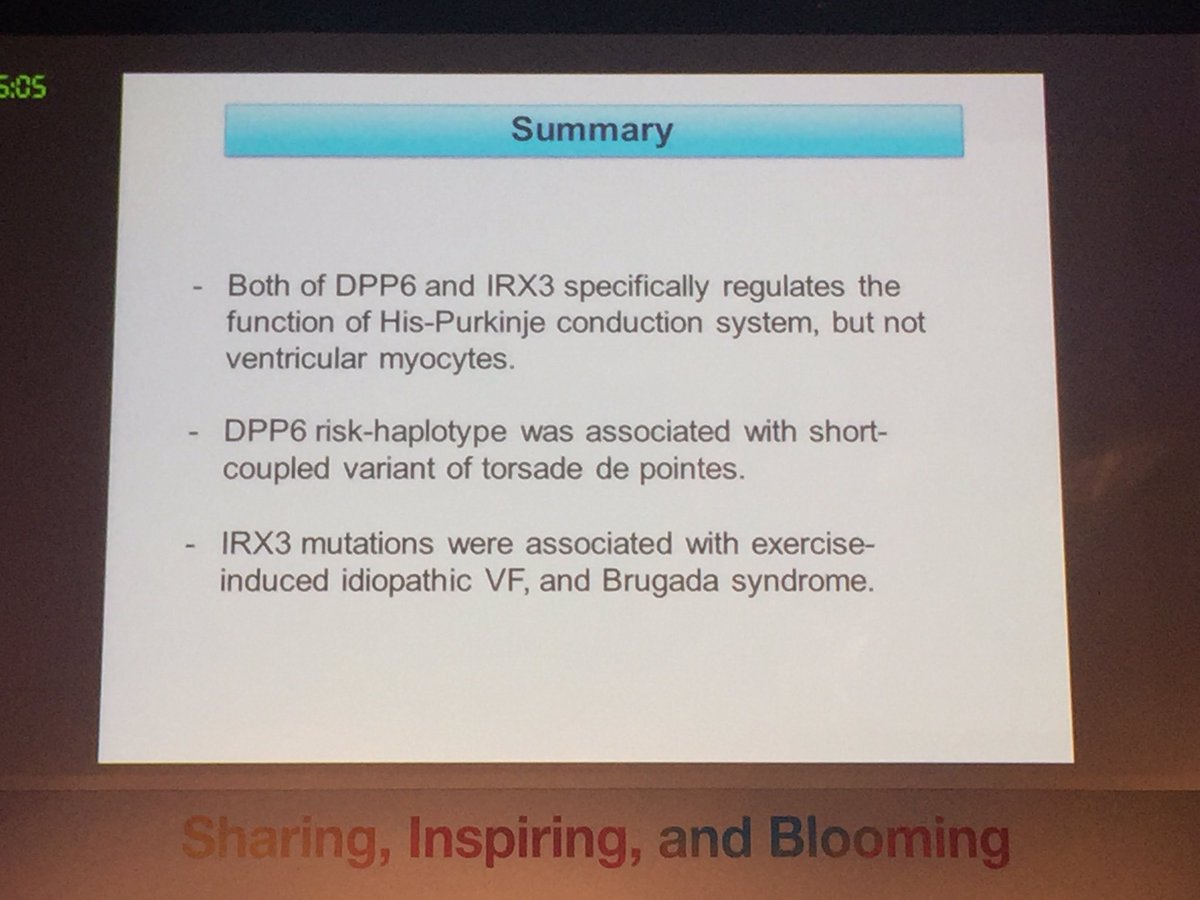 jodieingles27's tweet photo. Dr Sasano: IRX3 and DPP6 as causative genes in idiopathic VF #aphrs2016 @rdbagnall @CSHeartResearch https://t.co/wVkOgdK35q