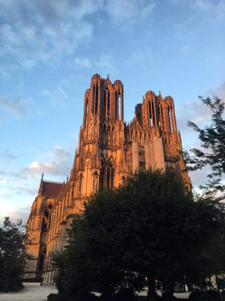 Joseph REIMS tweet media