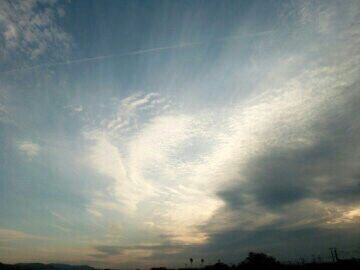 bocnoa0412's tweet photo. 星の鳥！！！？？
って思ったのは私だけかなぁ…😅 https://t.co/Sq1dJzoeYt