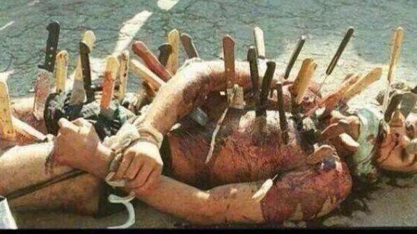 dalal0dalal0's tweet image. Yes #Shiites are not a part of Islam 
We hope this community stemming  safavid back to #Iran
#notislamic
@MailOnline
@KenRoth
#humanrights