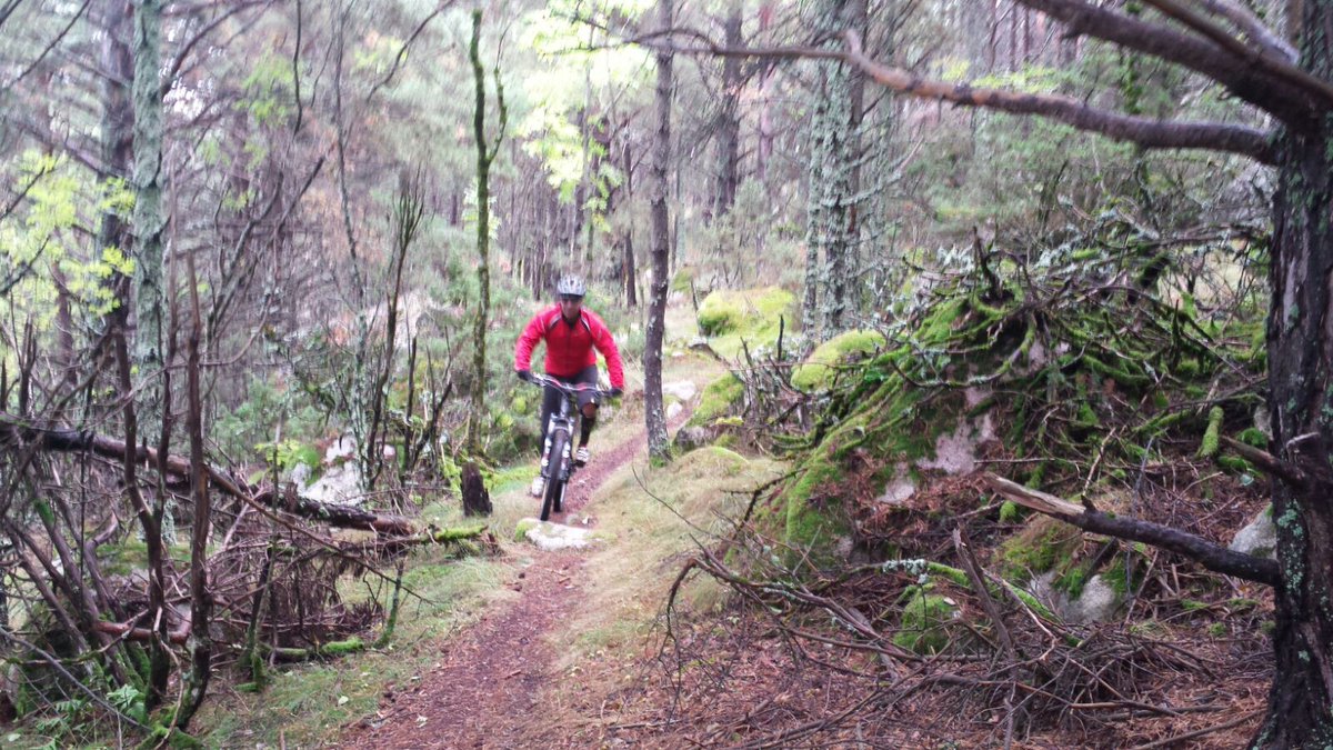 Pitucat66's tweet photo. Ups! Huele a nieve..😆 
Te diviertes poniendote en forma para esquiar?  Vienes a la Cerdanya?
#skipasionbike#singeltraksguide#cerdanyabike#😎 https://t.co/JYt46s73vP