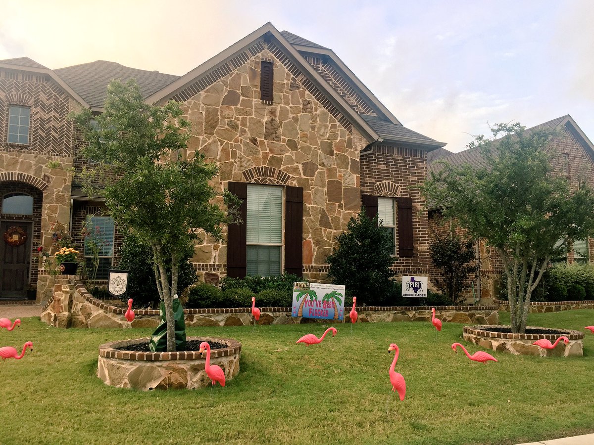 I wonder who flocked my yard🤔<a href="/Bobcatcheer/">BOBCAT CHEER</a> ???