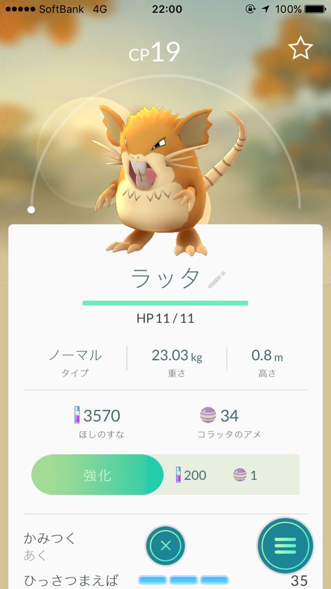 ポケモンgo ラッタはただのゴミじゃないぞ トレーニングでこそ輝く ポケモンgo攻略まとめ速報