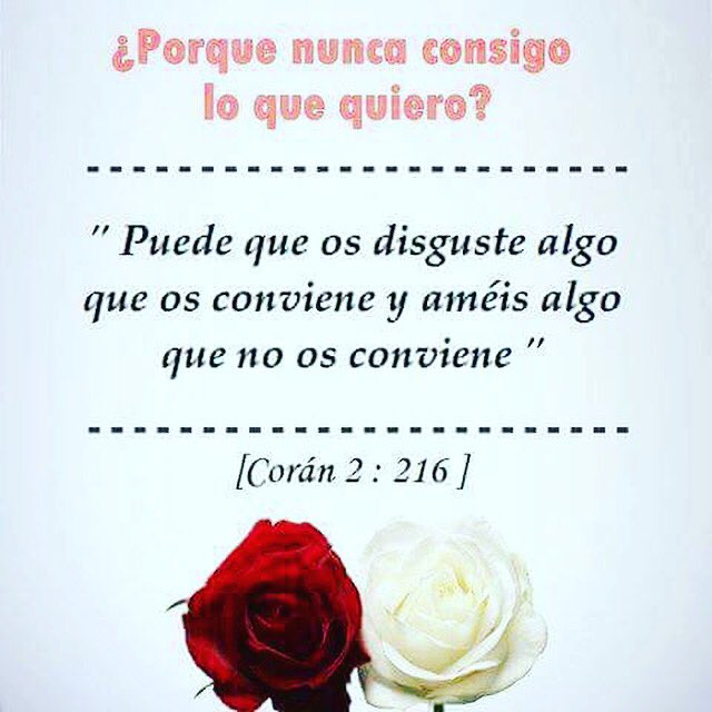 IslamParatodos's tweet photo. ¡HEY! recuerda solo confía en El Misericordioso, el te dará lo mejor. Sonríe y di ¡Alhamdulillah! https://t.co/7U3pkkwWbr