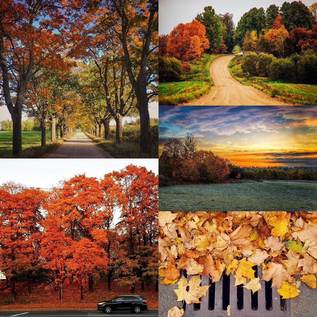 CircleKLatvija's tweet photo. Iemūžini arī Tu rudens skaistumu savā ceļā ar #manscels 🍁🍂 https://t.co/geUz28BTi3
