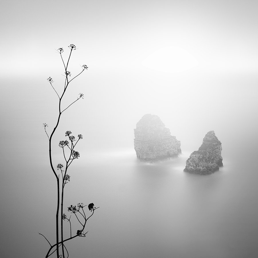 New Featured Profile: alexandre manuel
Portfolio: ndmagazine.net/photographer/a…