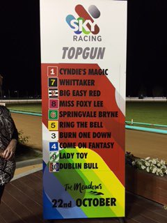 MelbourneGreys's tweet photo. Box draw for the Group 2 @SkyRacingAU Stayers Topgun. Who will win? #themeadowsdogs https://t.co/Bl27pe6OUY