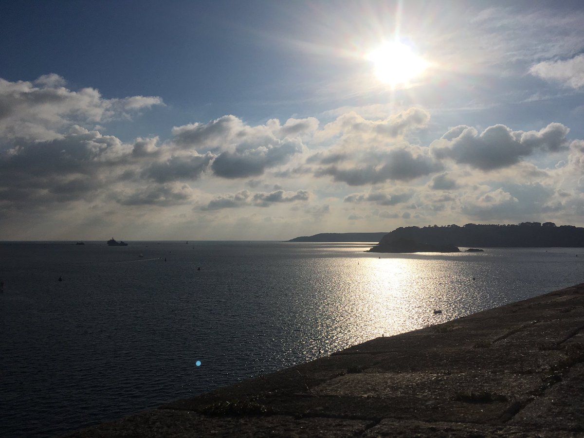 MarineMermaidUK's tweet photo. Over 550 species so far! More to come. #mbabioblitz @thembauk https://t.co/m5nKhLP1dC